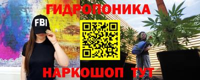 apvp Беслан