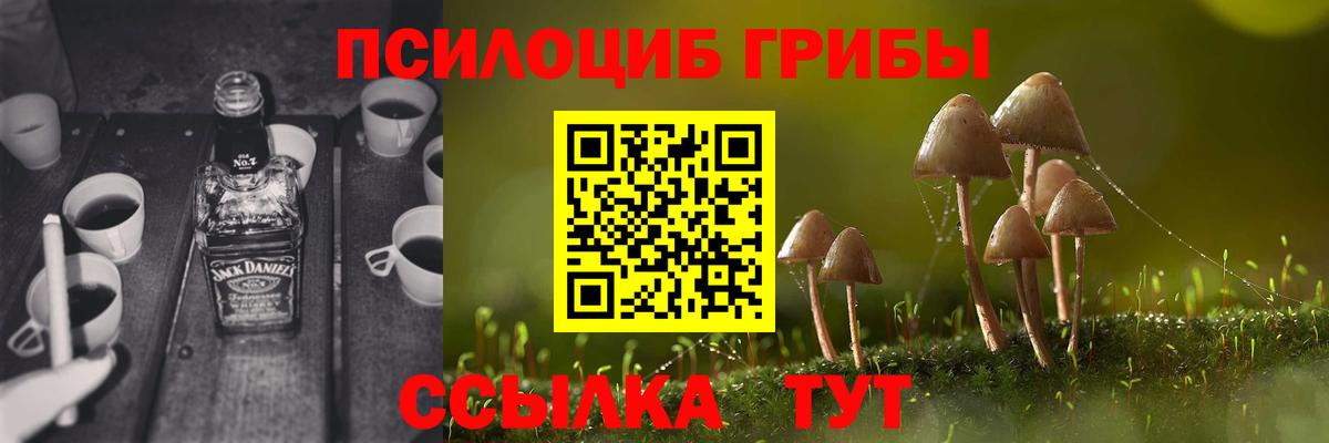 Галлюциногенные грибы мицелий Калининград